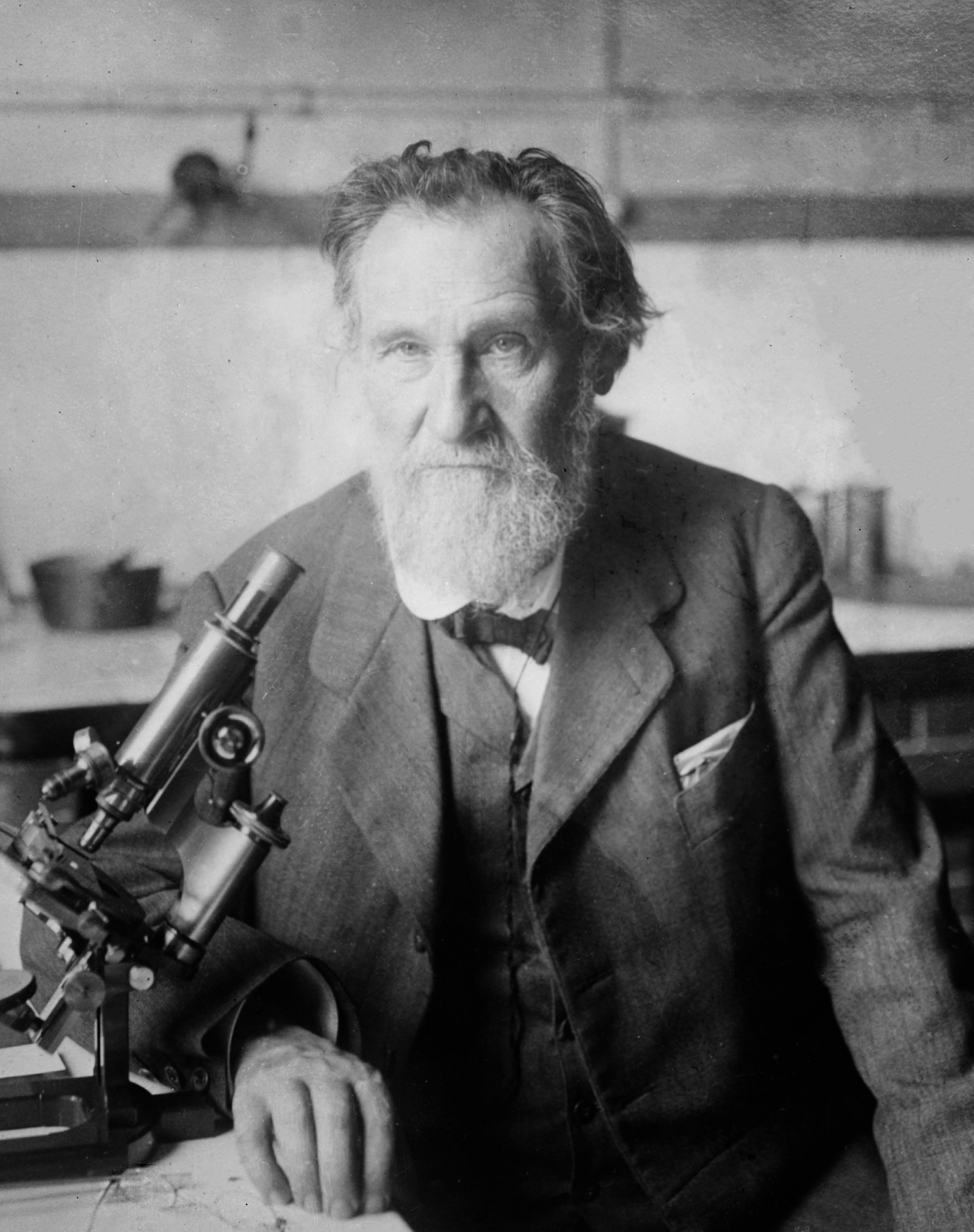 Ilya Mechnikoff, around 1910.