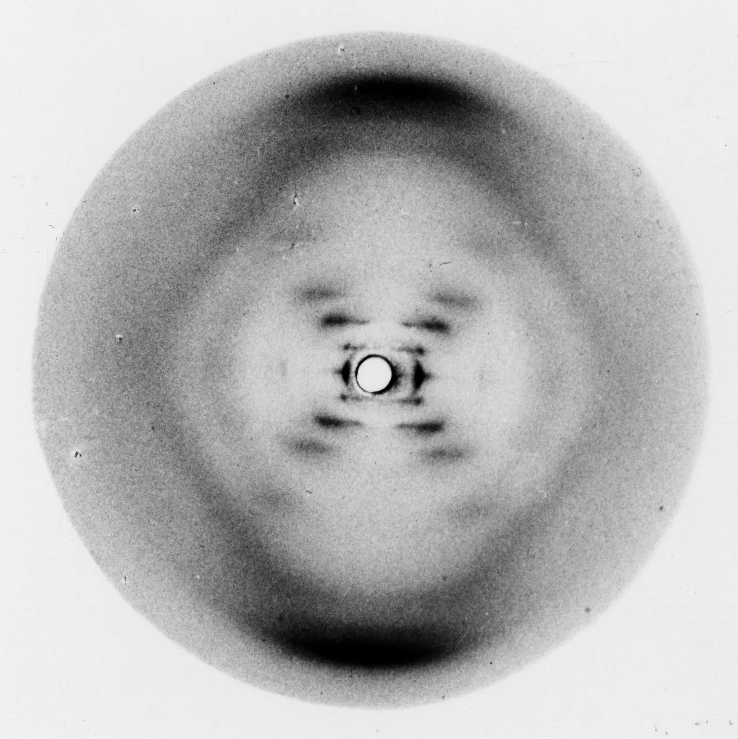 Photo 51 X-ray diffraction pattern of DNA