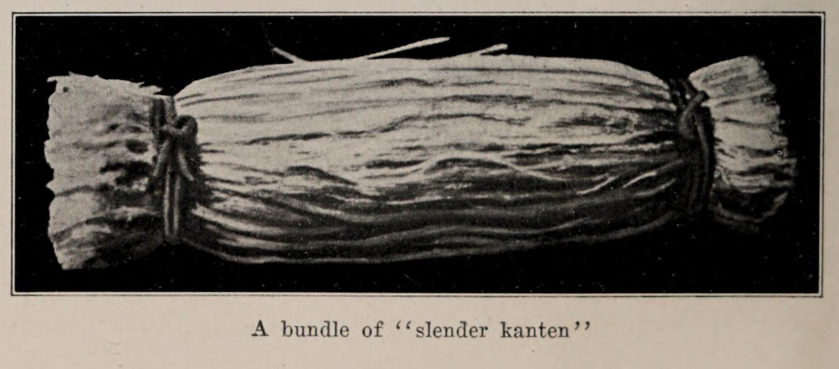 A bundle of kanten, from the Encyclopedia of Food (1923)