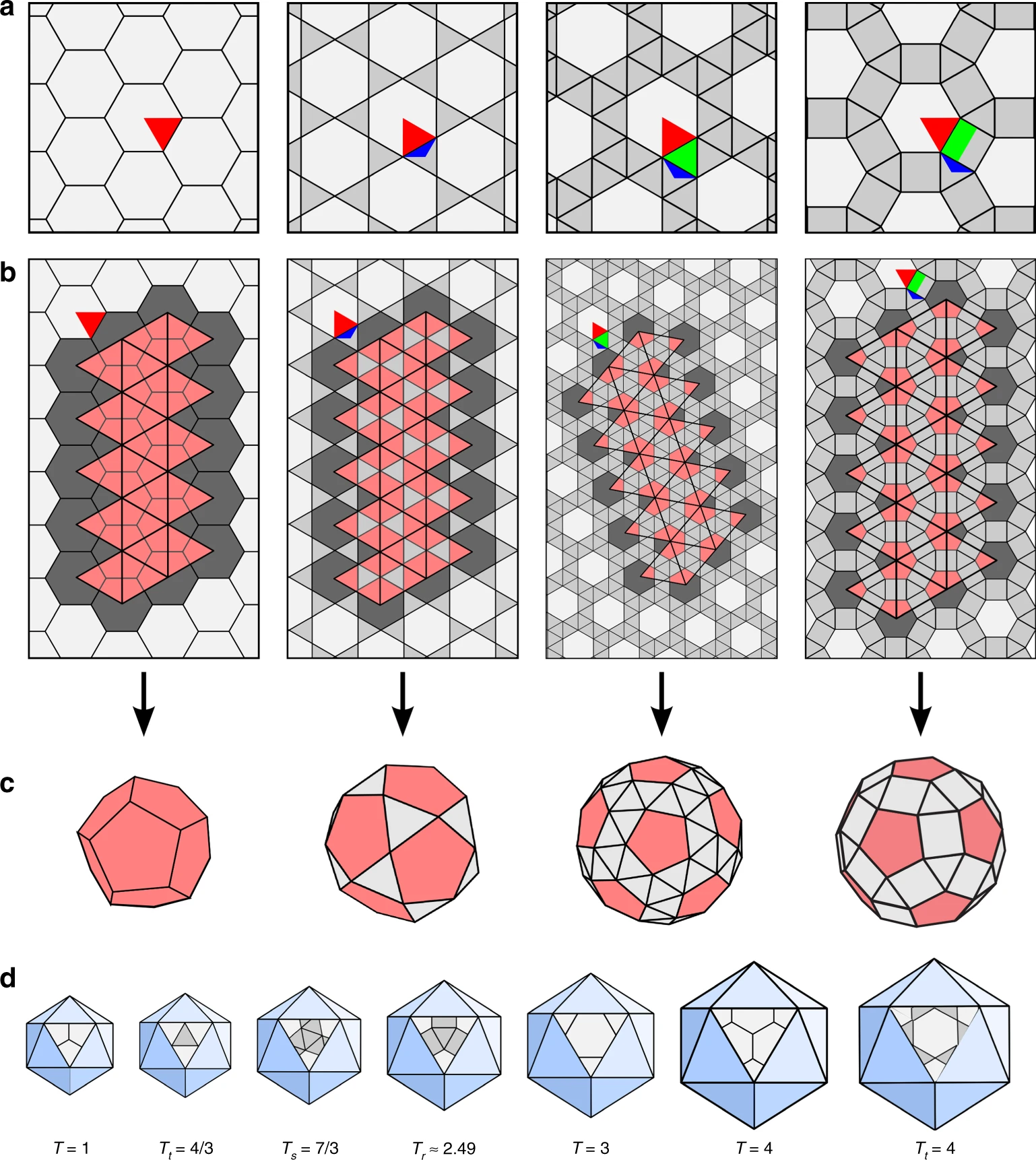 Archimedean lattice models in virology