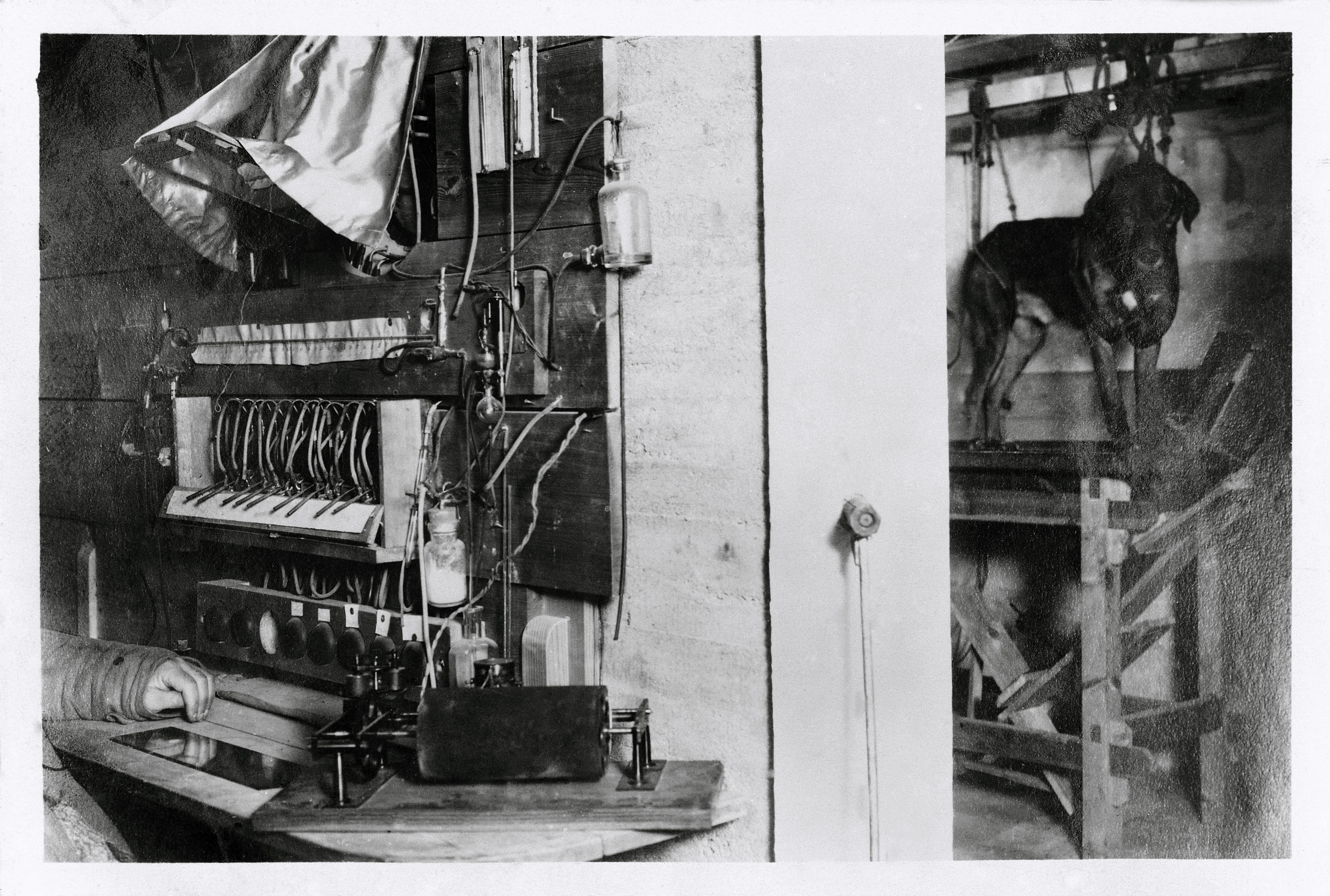 Pavlov’s laboratory, with dog