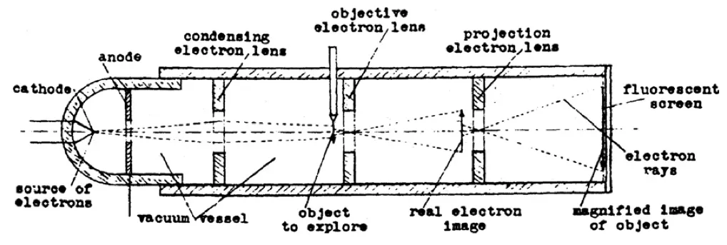 Rüdenberg's electron microscope schematic
