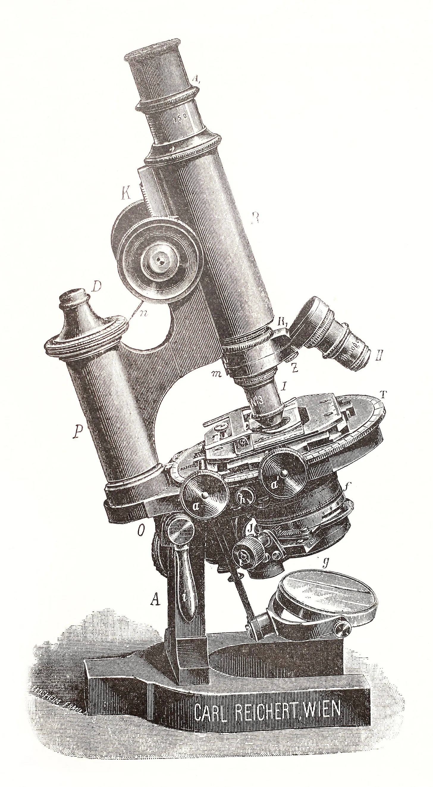 19th-century light microscope