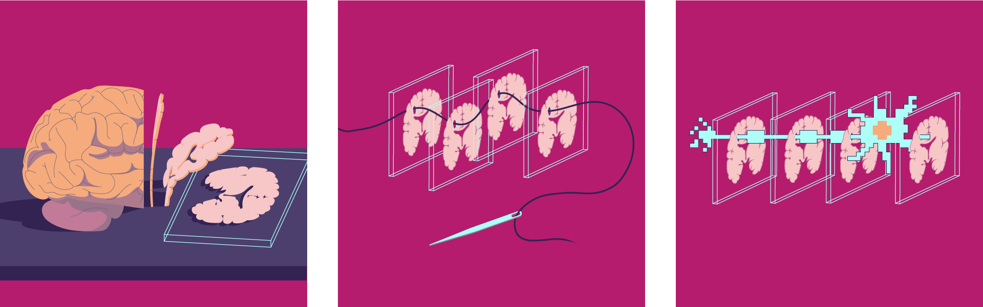Neural wiring data