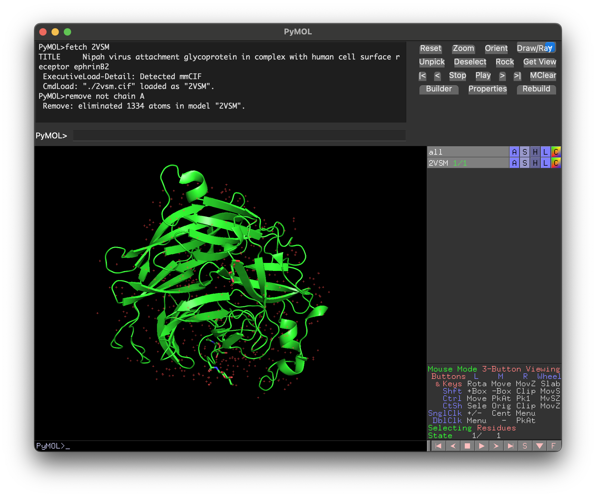 Removing all chains except Nipah G in PyMOL