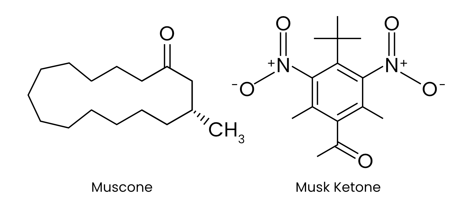 Muscone and civetone macrocyclic ketones