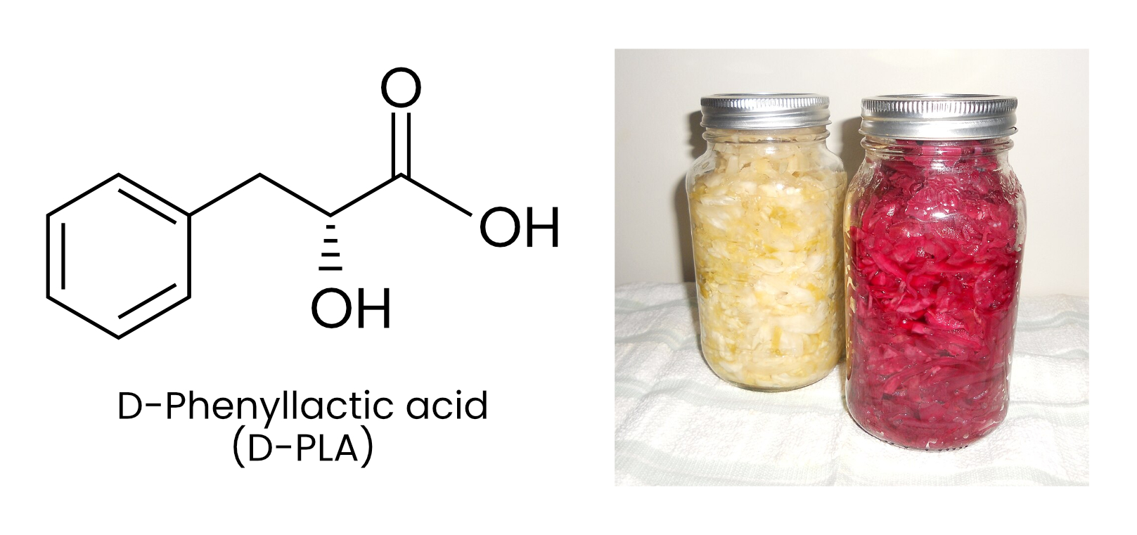 Left: Molecular structure of D-PLA. Right: Sauerkraut.