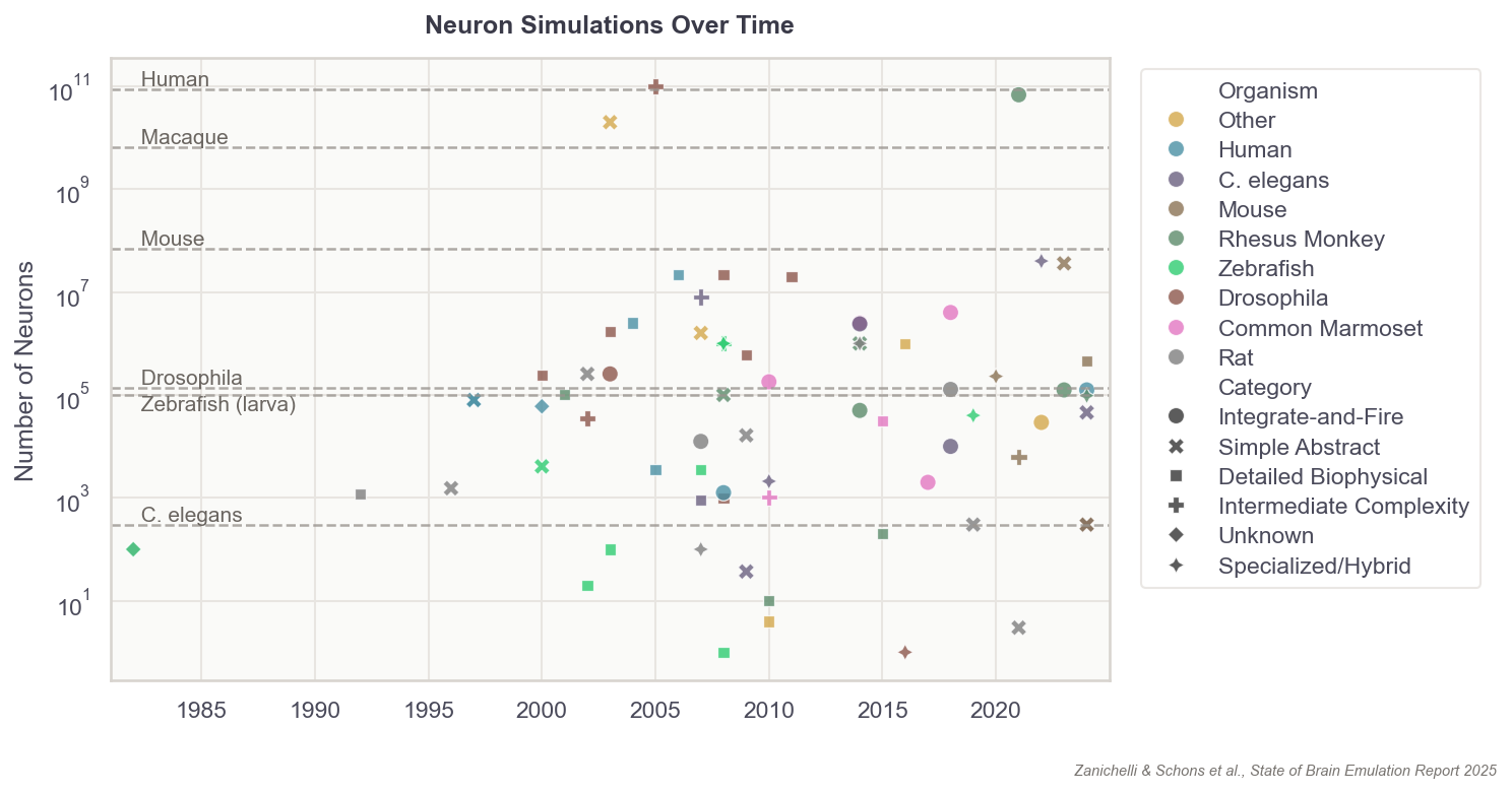 Improvements in computational neuron simulations from 1983 to 2022