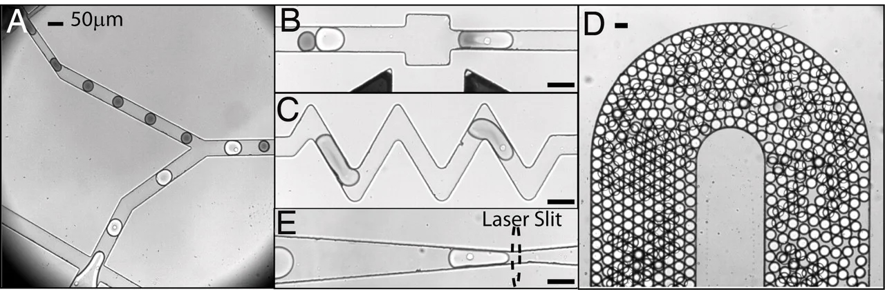 A microfluidics chip