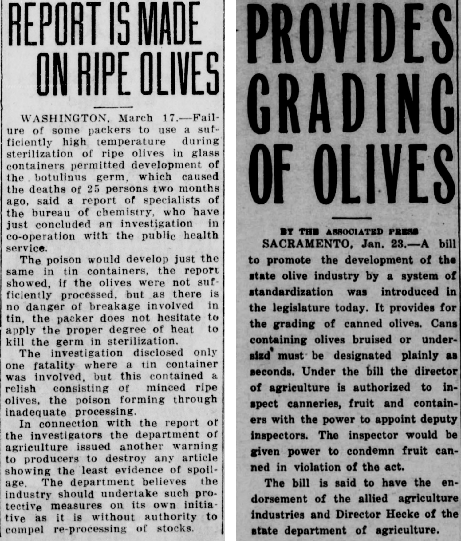 Newspaper clippings from the 1900s about the 1919 outbreak and Cannery act of 1925.