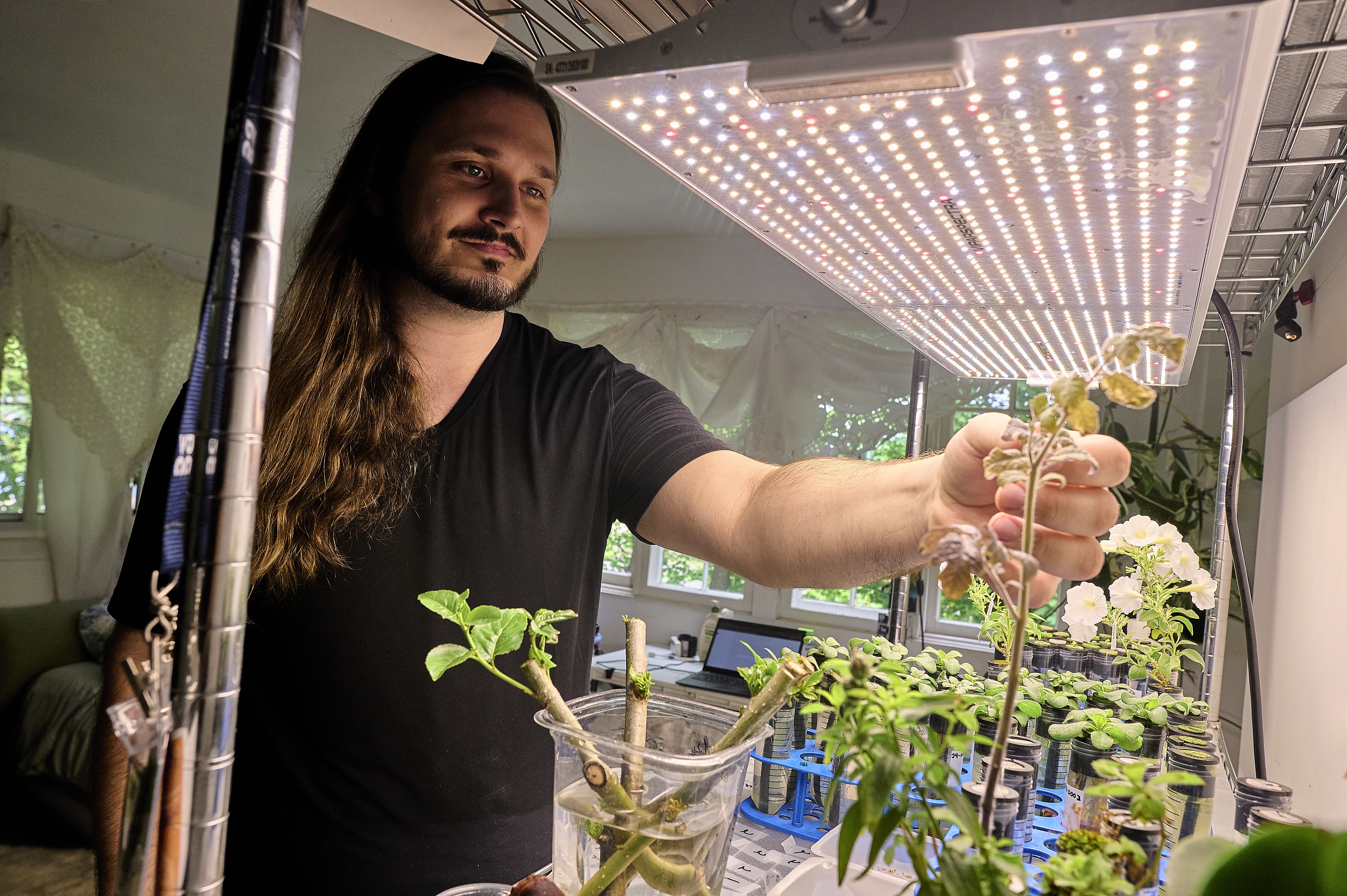 Sebastian Cocioba working in his laboratory.