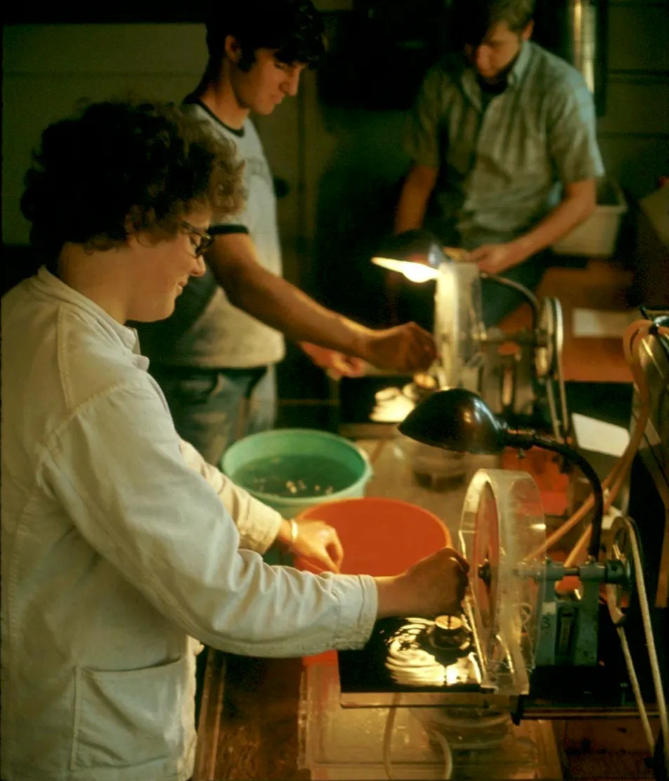 The jellyfish cutting machine.