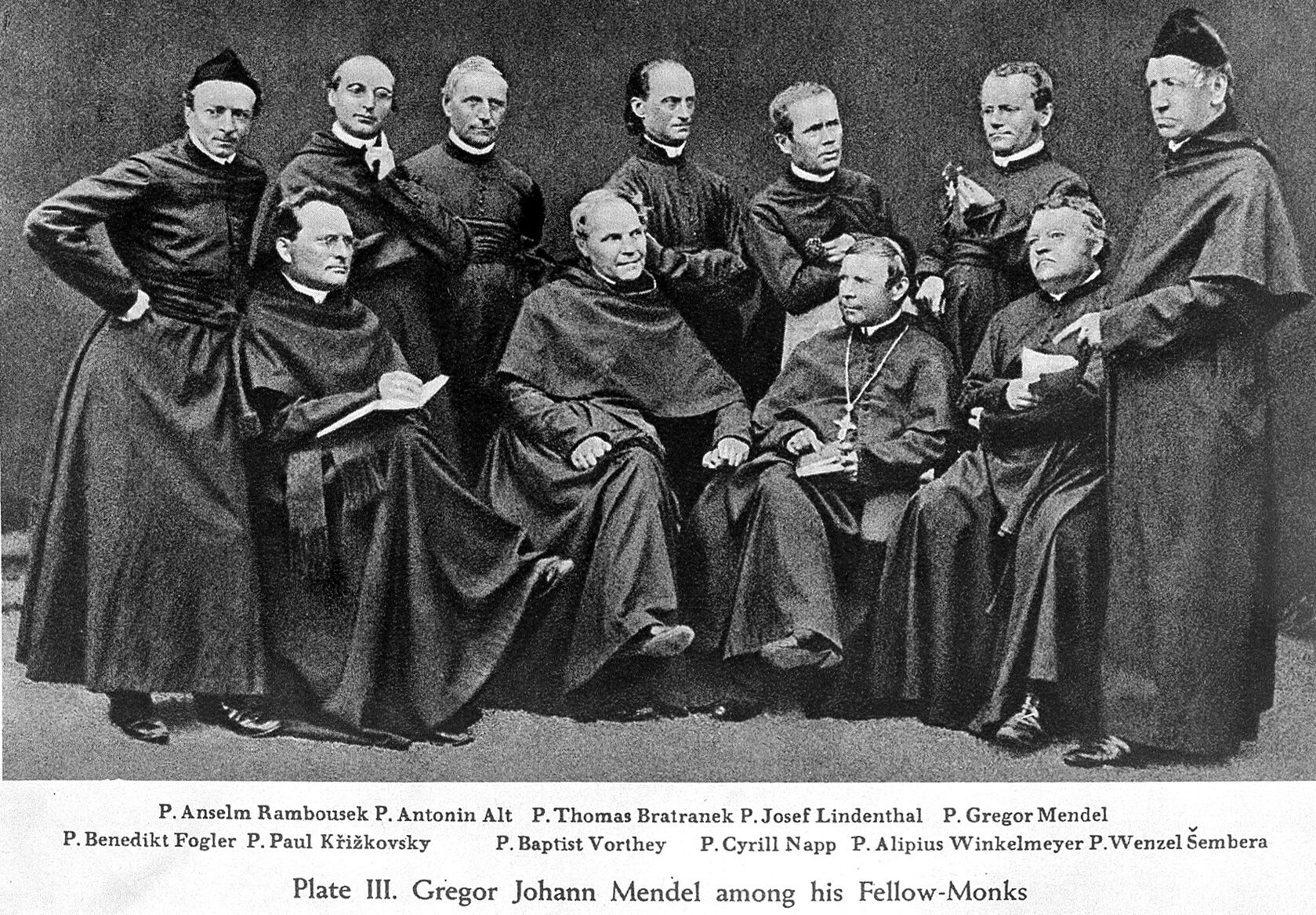 Mendel with his fellow friars, holding a fuschia sprig near the top right.