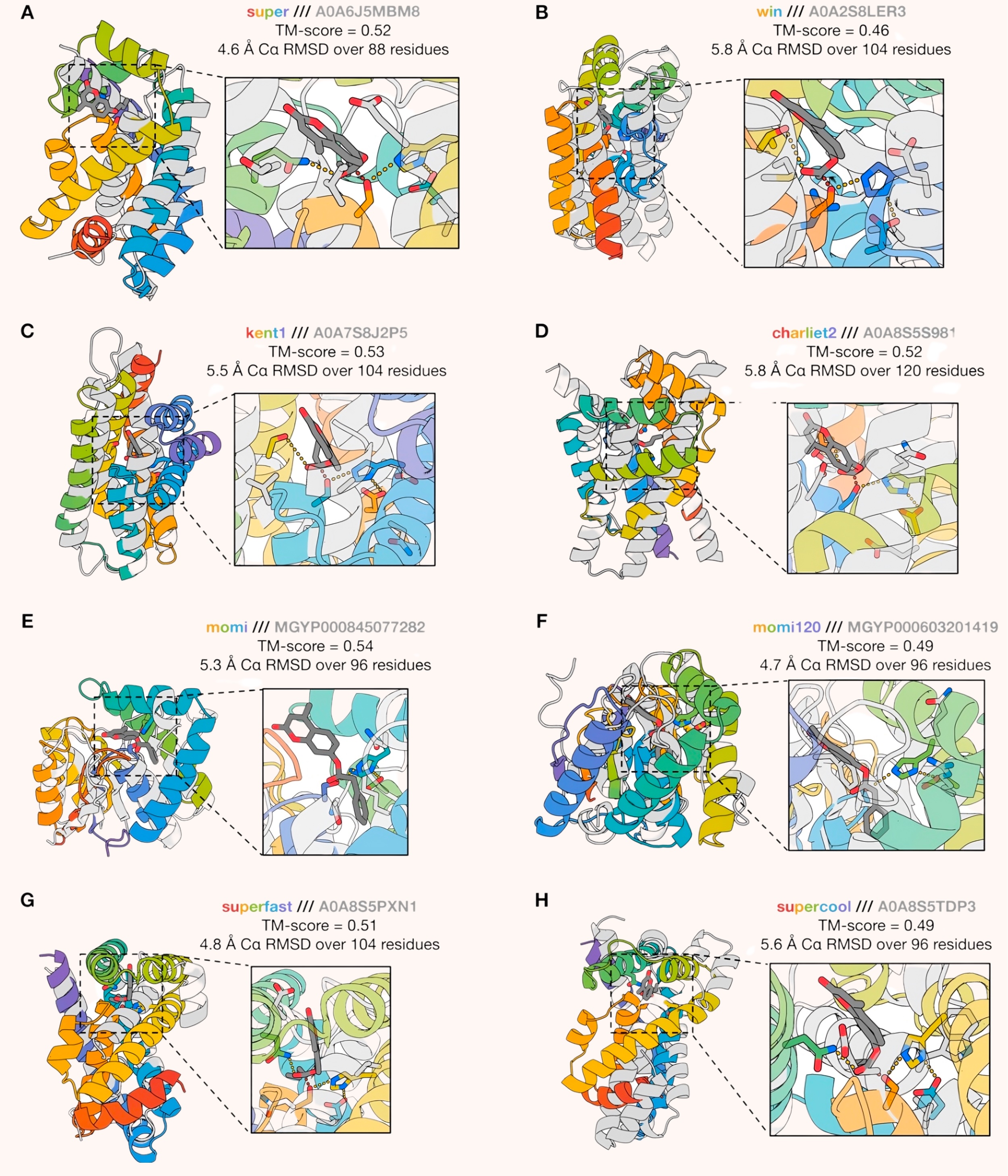 A collection of computationally-designed serine hydrolases, annotated with TM and RMSD structural similarity scores.