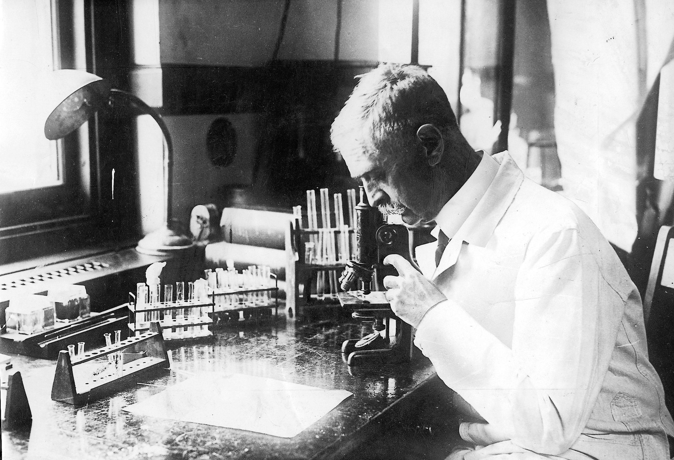 Karl Landsteiner in his New York laboratory.
