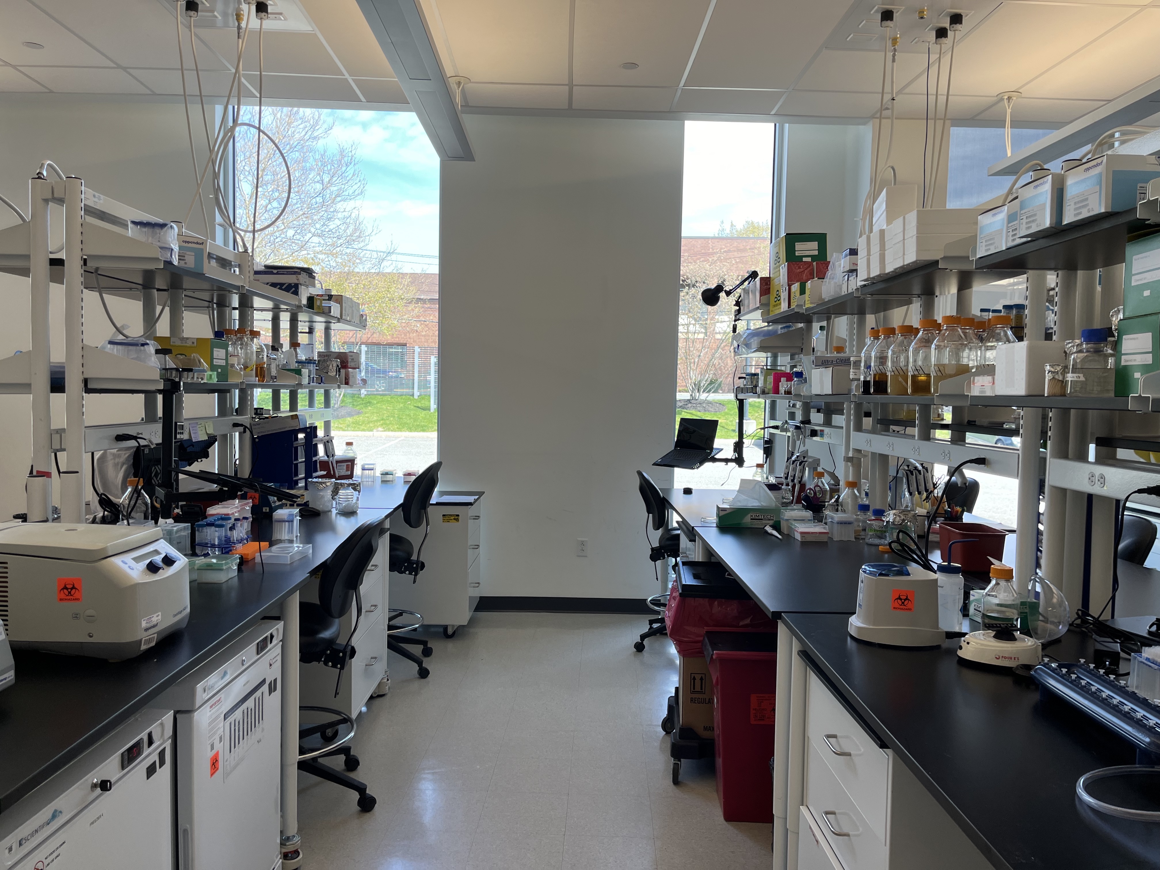 Bright light engulfs the Cultivarium laboratory in Watertown, Massachusetts.