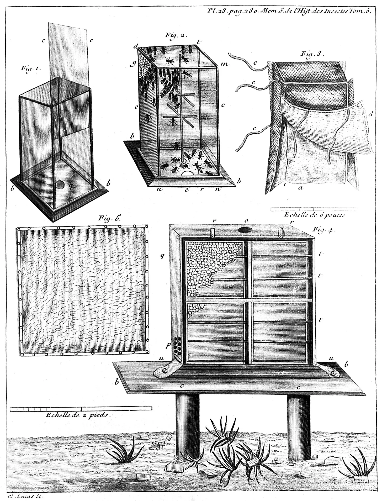 A 1740 apiculture with beehives, sketched by René Antoine Ferchault de Réaumur.