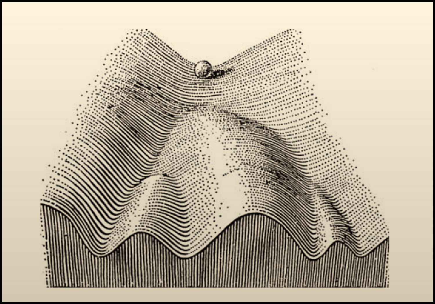 Conrad Waddington's epigenetic landscape, showing a ball rolling down an uneven surface toward different fates.