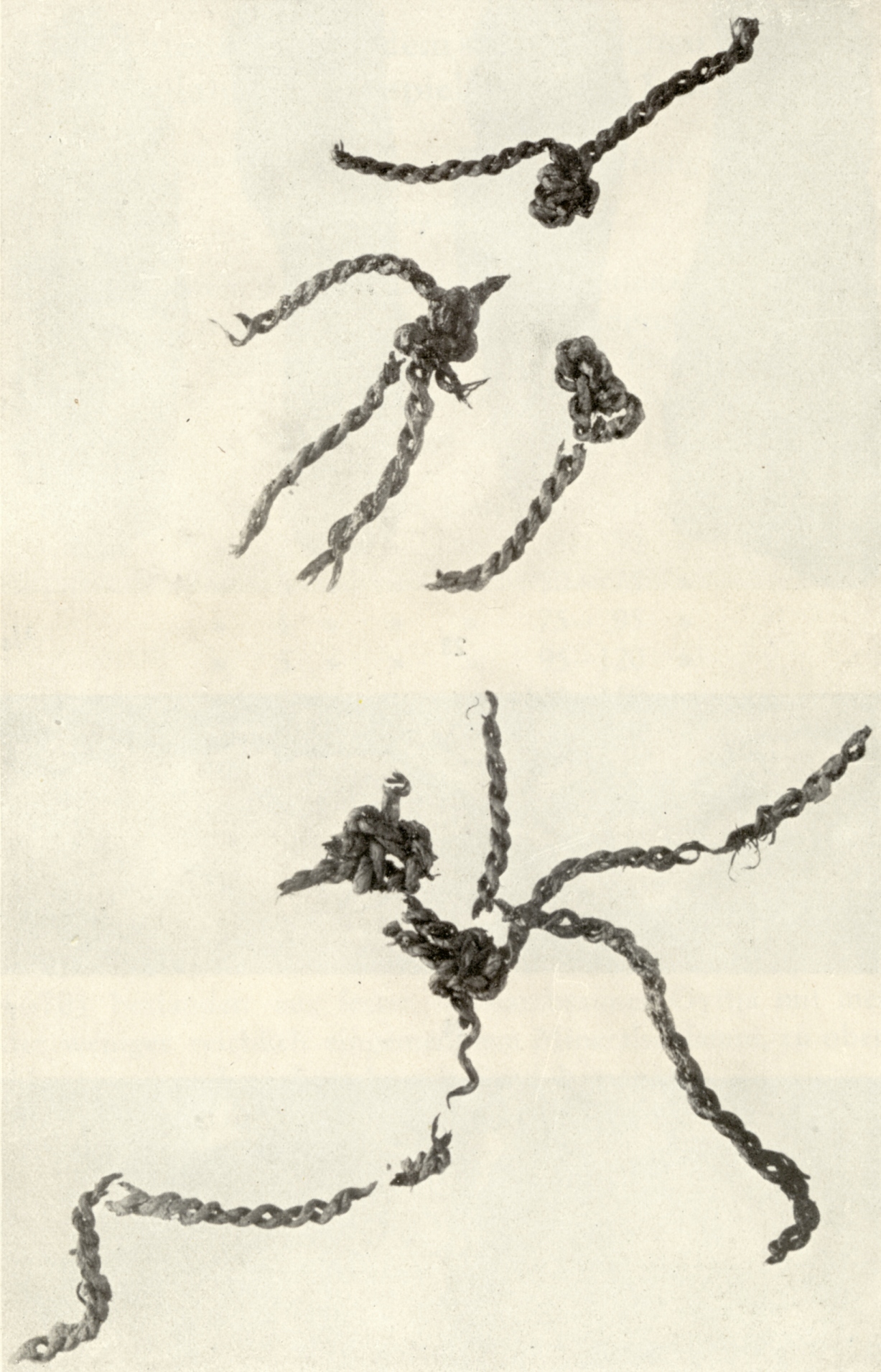 Remains of the Paleolithic Antrea net, uncovered in Finland in 1920.