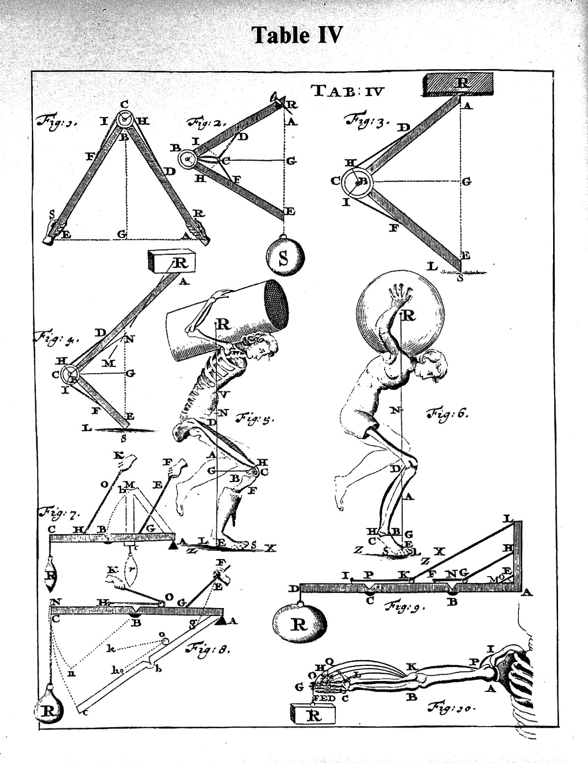 Borelli’s diagrams of levers, weights, and human muscles illustrating the mechanics of movement.