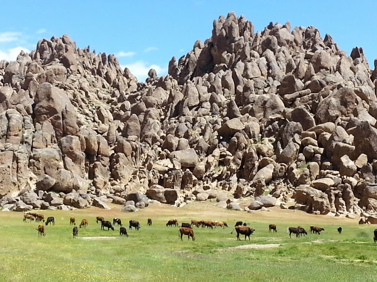Troupeau pâturant au pied des formations rocheuses du Jbel Siroua