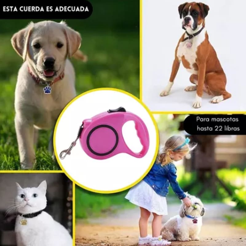 5M Correa Paseo De Mascotas Perros Gatos — foto 5