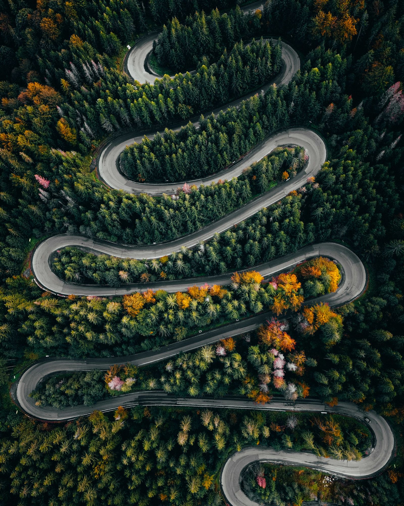 Motorcyclist riding on scenic mountain highway