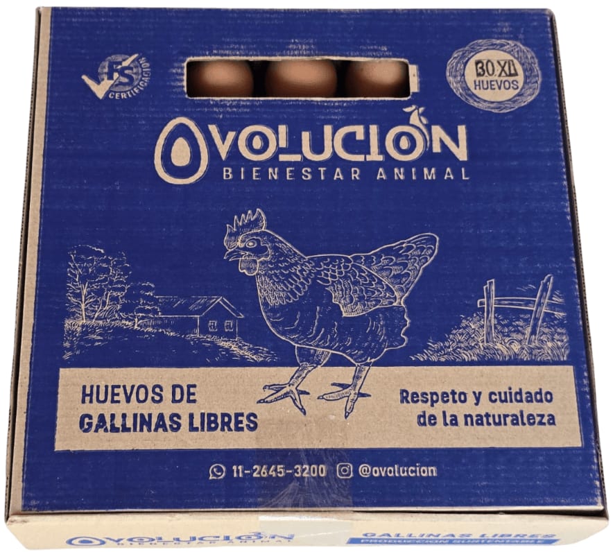 Huevo Color Pastoril XL