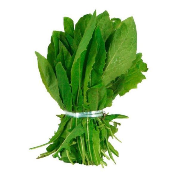 Achicoria 