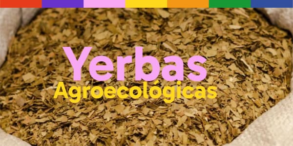 yerbas