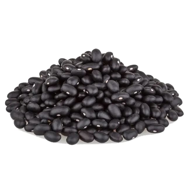 Poroto negro