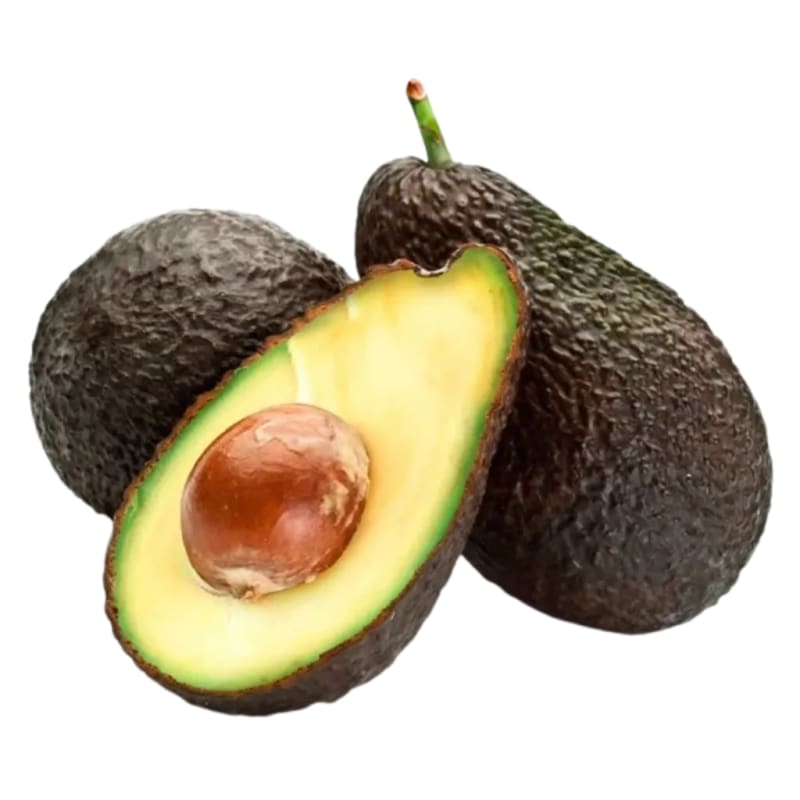 Palta hass agro