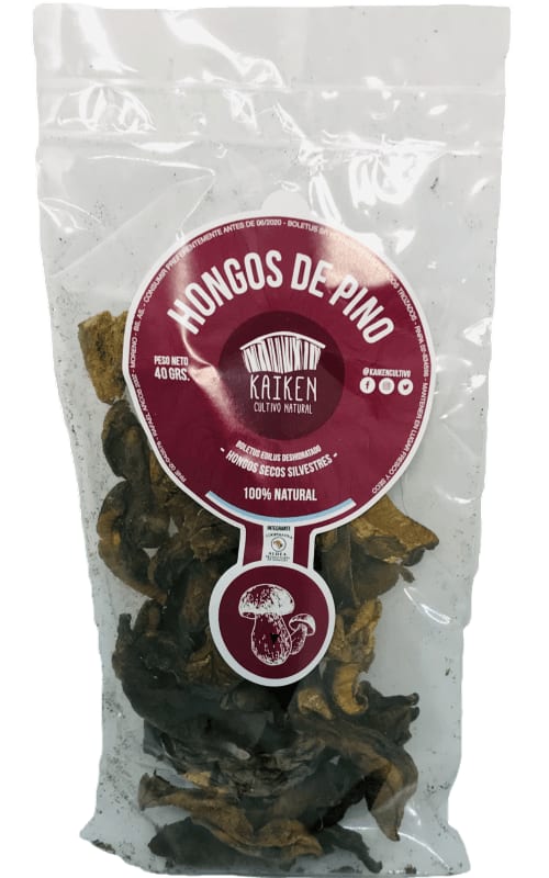 Hongos Pino Secos
