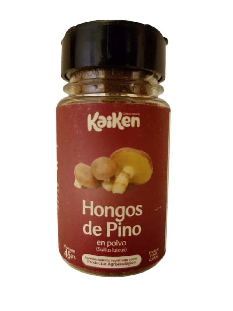 Polvo hongos de pino secos 