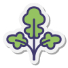 Sección de Hierbas