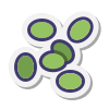 Sección de Legumbres