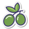 Sección de Aceitunas