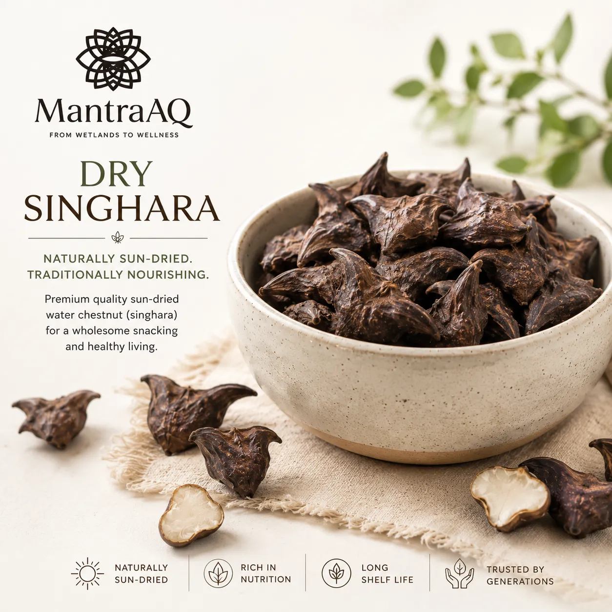 Dry Singhara