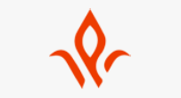 Perfect Web Design Company