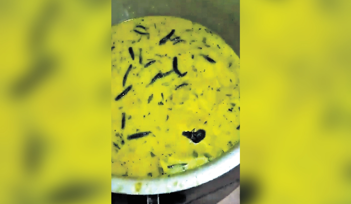 ವಿಡಿಯೋ ವೈರಲ್: ಹಾಸ್ಟೆಲ್ನಲ್ಲಿ ನೀಡಿದ ಚಟ್ನಿಯಲ್ಲಿ ಈಜಾಡಿದ ಇಲಿ! Hyderabad Rat Found In chutney At Hostel Sultanpur Food Shocking Video Viral Kannada Newsten Digital