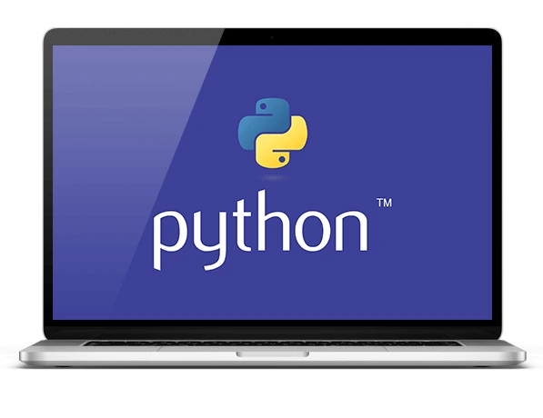 Python Development Services