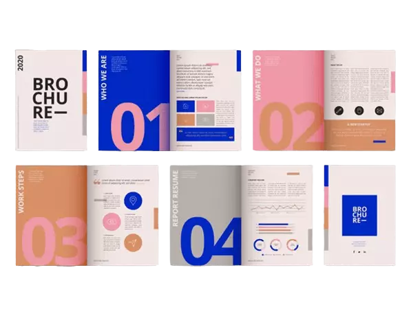 Brochure and Letterhead Design