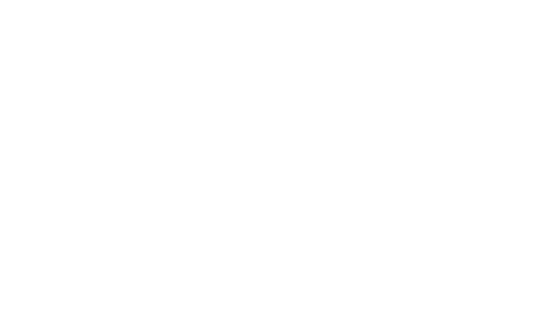 Project 2049