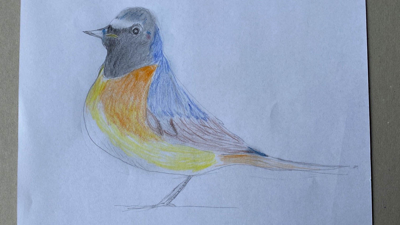 Ein selbstgemalter Vogel