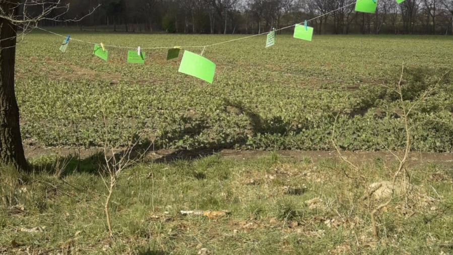 Zwischen zwei Bäumen am Pilgerweg hängen nun aufmunternde, Mut machende Worte, die sich jeder mitnehmen kann.