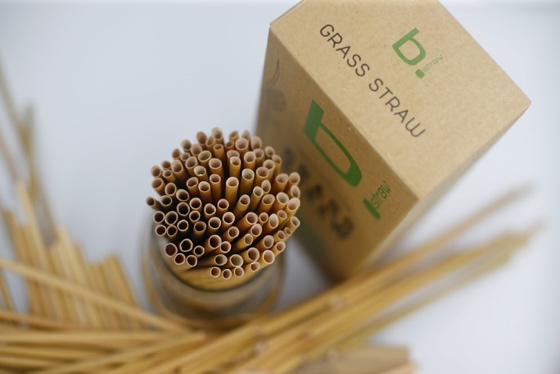 b.straw Bio Trinkhalme in 3 verschiedenen Größen erhältlich