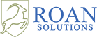 Roan Solutions, Inc. logo
