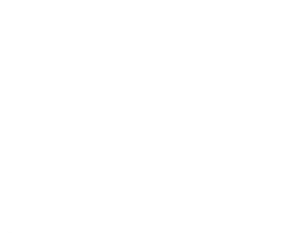 Charles IT logo