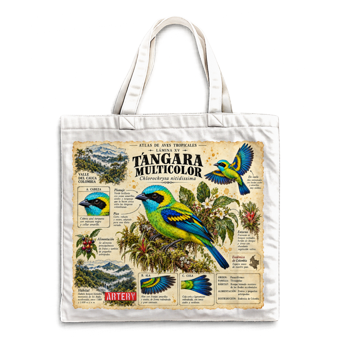 TANGARA MULTICOLOR TOTE BAG