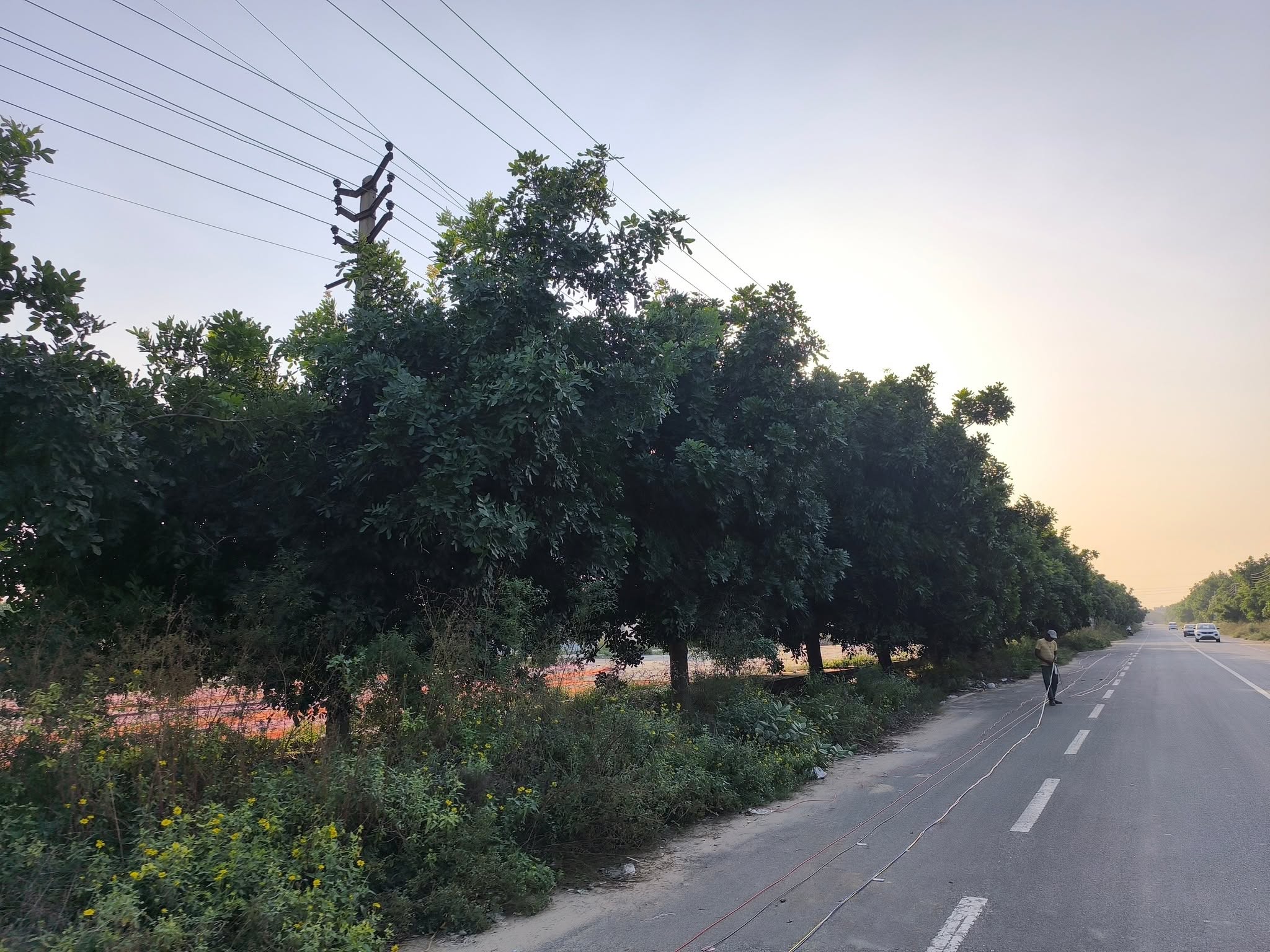 Huda Plot in Sec 1 Pataudi for Sale - Properties in Sector 1 Pataudi - 5